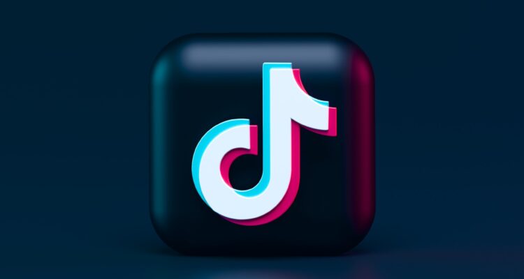 TikTok icon